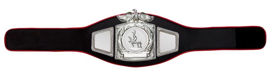 PROEAGLE WRESTLING CHAMPIONSHIP BELT - PROEAGLE/S/WRESTS - AVAILABLE IN 6+ COLOURS PROEAGLE WRESTLING CHAMPIONSHIP BELT - PROEAGLE/S/WRESTS - AVAILABLE IN 6+ COLOURS